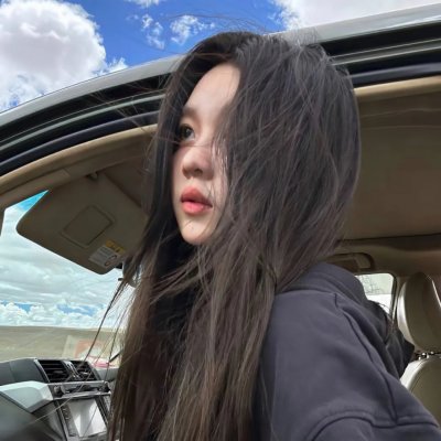 黑之契约者2：流星的双子